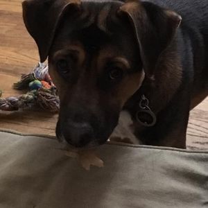 Meet your Posher, Bethany